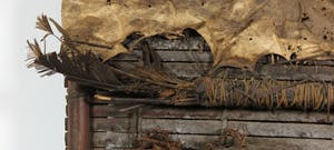 Idoma - Hout, plantenresten, leer en veren, Jagers borstmasker kopen? Bied vanaf 1!