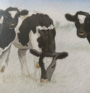 Wiebe A. van der Zee - Koeien in landschap kopen? Bied vanaf 25!