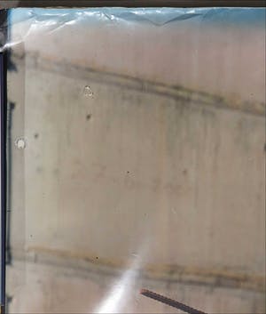 Paul Blanca - Zeer grote foto, Garbage Tree kopen? Bied vanaf 1!