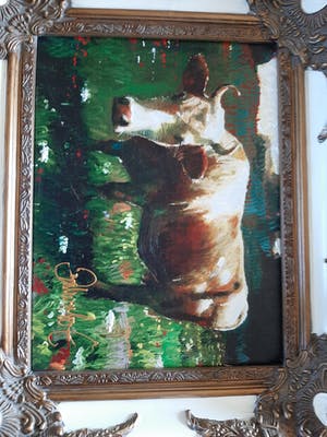 Peter Donkersloot - Koe met horens kopen? Bied vanaf 75!