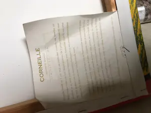 Corneille - L’ oiseau bleu et chat Jaune kopen? Bied vanaf 750!