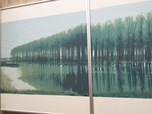 Martin T.J.M van de Laar - landschappelijk tweeluik | zeefdruk - ingelijst kopen? Bied vanaf 39!