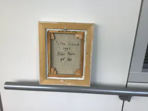 Peter Schenk - Blue Moon kopen? Bied vanaf 90!