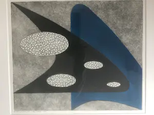 Harry van Kruiningen - Ets Perforatum 2 kleuren zwart blauw kopen? Bied vanaf 199!