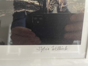 Carel Willink - Mooie grote zeefdruk kopen? Bied vanaf 225!