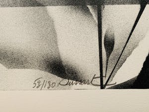 Gislain Dussart - Tulips kopen? Bied vanaf 15!