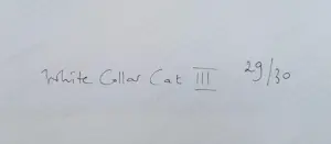 Marie Cecile Thijs - White Collar Cat III, lambdaprint (prachtig ingelijst) kopen? Bied vanaf 1500!