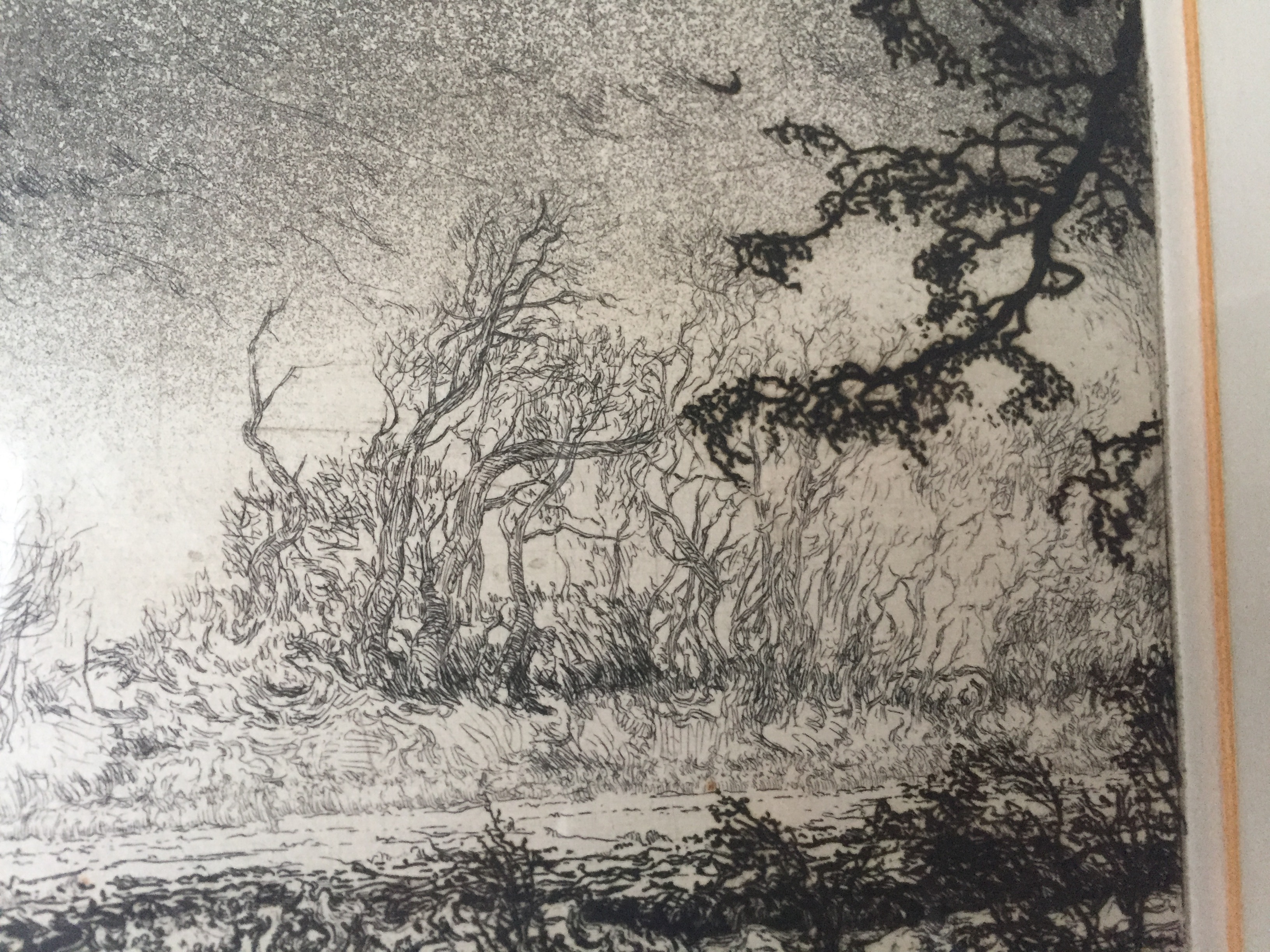 Koert Jan Muller - Landschap met tak kopen? Bied vanaf 1!