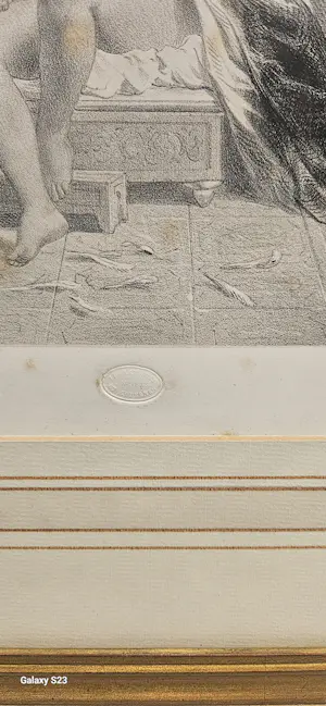 Celestin Nanteuil - Nanteuil lebouf dit nanteuil Ils y laissent leurs plumes kopen? Bied vanaf 100!