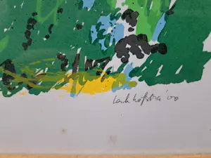 Henk Hofstra - Houtigehage/WBV Smallingerland kopen? Bied vanaf 25!