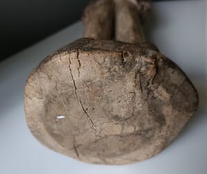 Baule - Origineel Colon beeld kopen? Bied vanaf 75!