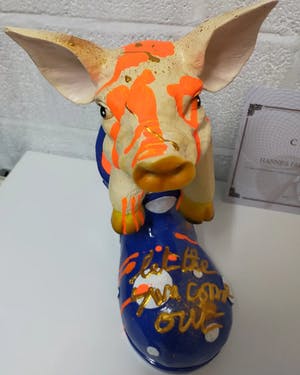 Hannes D'Haese - Varken kopen? Bied vanaf 150!