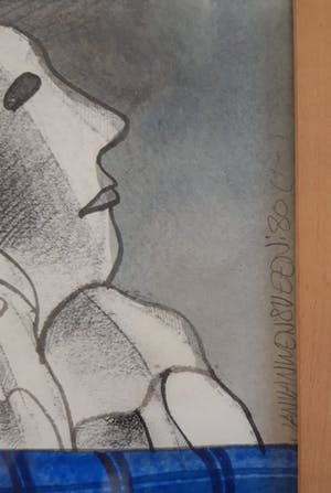 Jan van Wensveen - Dorp in Frankrijk kopen? Bied vanaf 20!