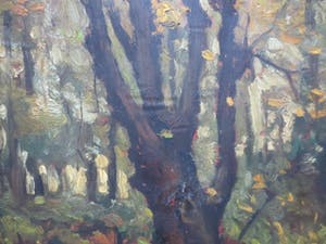 Cornelis Kievit - Dwarreling. kopen? Bied vanaf 100!