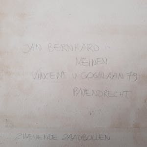 Jan Bernard Meinen - Zwevende Zaadbollen ETS ingelijst - 21976 kopen? Bied vanaf 35!