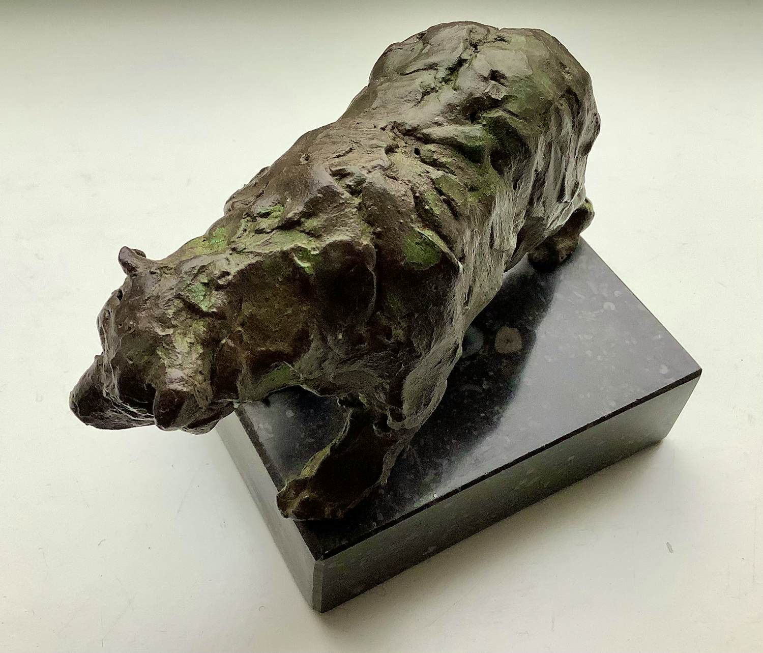 Siem Wardenaar - Volwassen beer kopen? Bied vanaf 285!