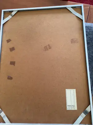 Carin Nieuwenhout - twee handen waarvan 1 beschadigd kopen? Bied vanaf 20!