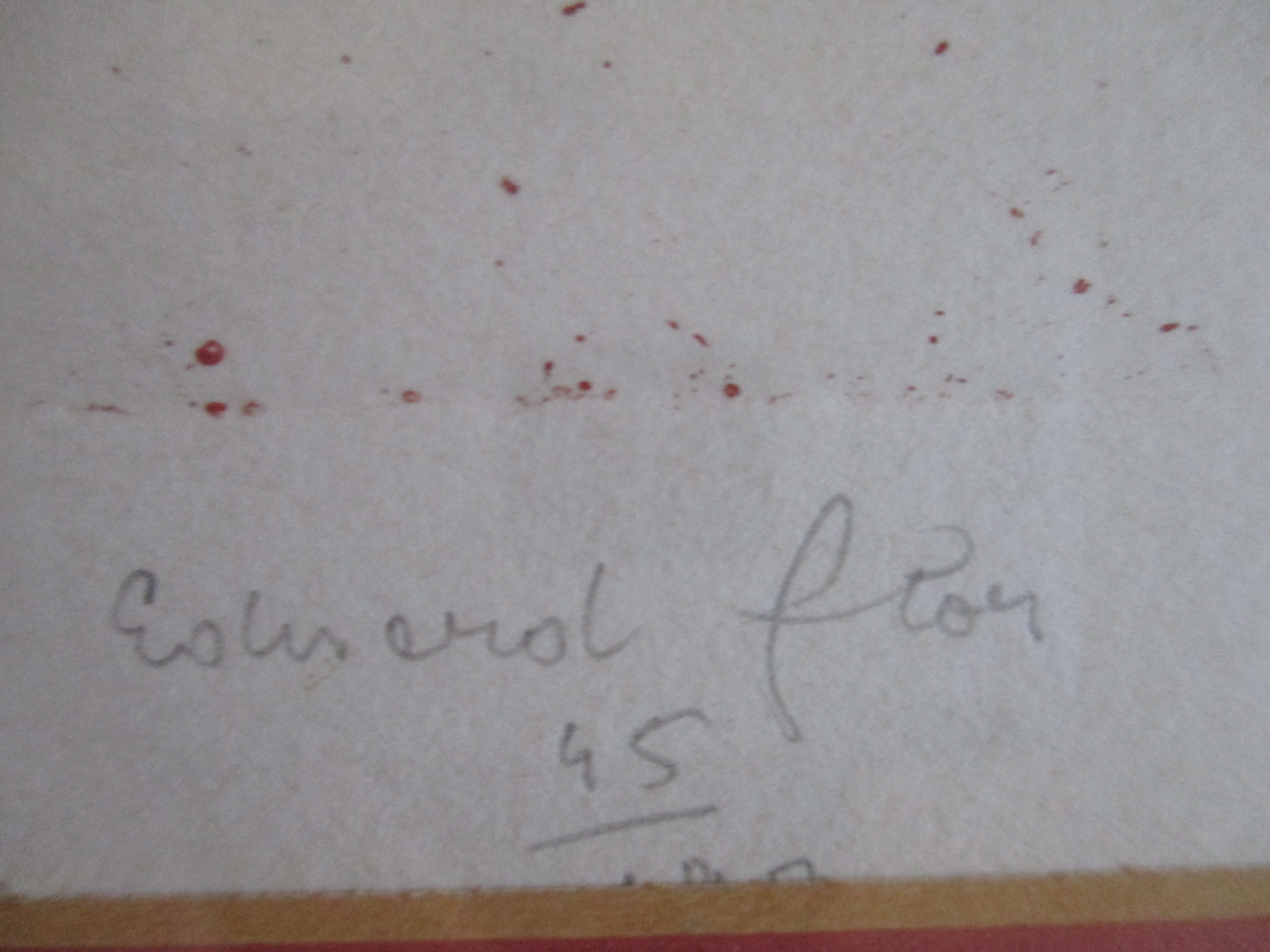 Eduard Flor - Ingelijste kleurenets Barth lijst kopen? Bied vanaf 65!