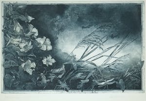 Jurgen Grenzemann - Kleurenets, Zonder Titel - Ingelijst kopen? Bied vanaf 1!