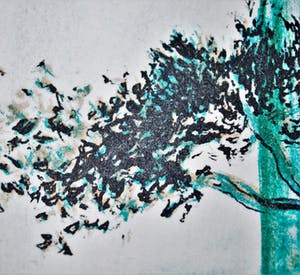 Niet of onleesbaar gesigneerd - gesigneerde E.A. kleurenlitho [Salvador Dali?] kopen? Bied vanaf 1!