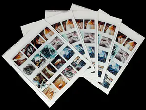 Mieke Visser - Lot van vijf foto's op perspex kaufen? Bieten Sie von 1!