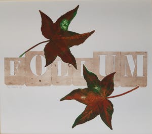 Els Maasson - Folium kopen? Bied vanaf 20!