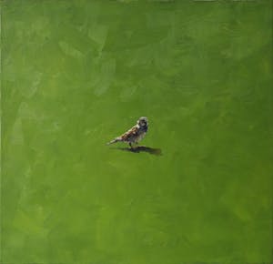 Gerard Prent - Olieverf op doek, Mus kopen? Bied vanaf 500!