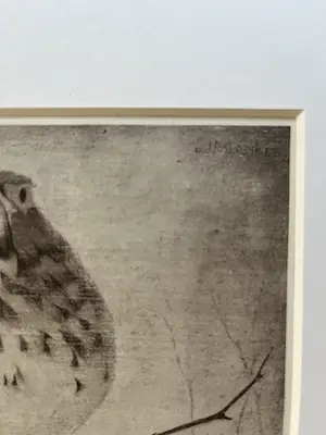 Jan Mankes - Originele Heliogravure - Lijster op Tak 1923 kopen? Bied vanaf 165!