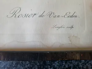 Pierre-Joseph Redoute - Rosa Gallica Purpurrea Velutina,Parva Rosier de Van Eeden kopen? Bied vanaf 20!