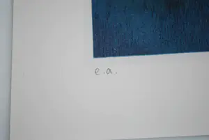 Ilona Schmit - sprookjesachtige scene - ingelijste grote zeefdruk E.A. kopen? Bied vanaf 65!