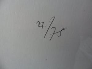 Theo Onnes - Zeefdruk. Titel. "Cow 1 ( Groot ) kopen? Bied vanaf 120!