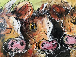 Caspar van Houten - Koeien kopen? Bied vanaf 250!