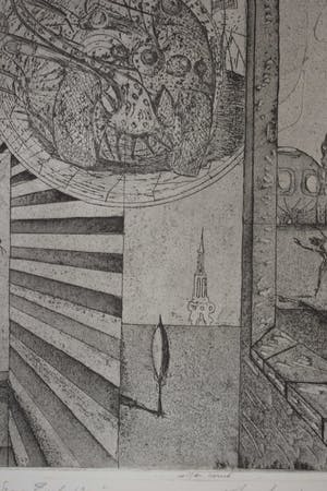 Jan Vaatstra - Ets - " Wrong Evolution " kopen? Bied vanaf 40!