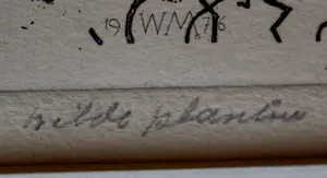 Willem Minderman - Ets: Wilde planten kopen? Bied vanaf 25!