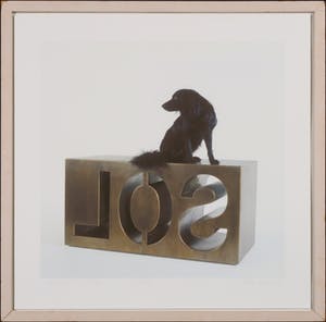 Marc Ruygrok - Piezografie, Sol Bob - Ingelijst kopen? Bied vanaf 10!