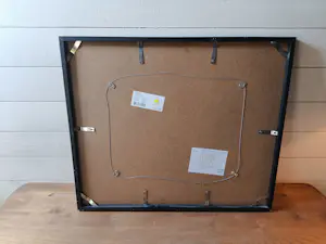 Corneille - Vrolijke vis kopen? Bied vanaf 200!