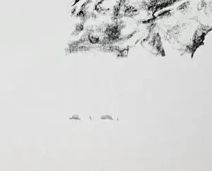 Wim Kroon - Eiland van zwarte kunst kopen? Bied vanaf 25!