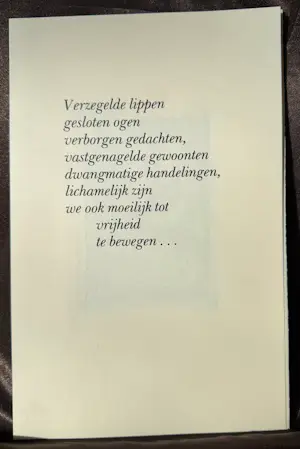 Ab Steenvoorden - Ons zelf spiegelen kopen? Bied vanaf 67!