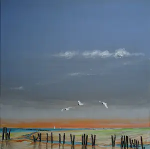 Franklin Meijer - Waddenkust Groningen kopen? Bied vanaf 79!