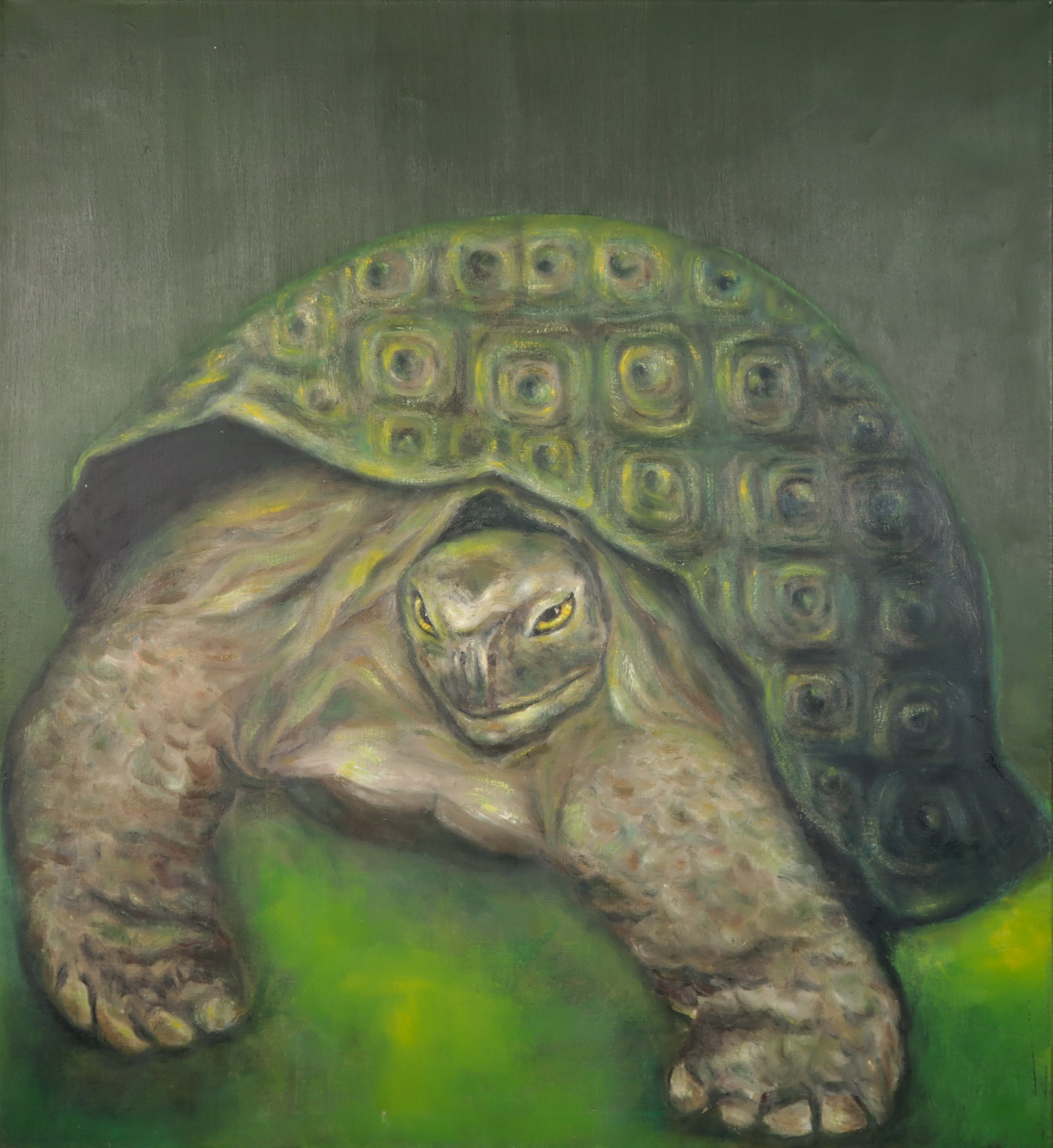 Mariette van Kemenade - Olieverf op doek, Schildpad - Ingelijst verkocht voor € 40!