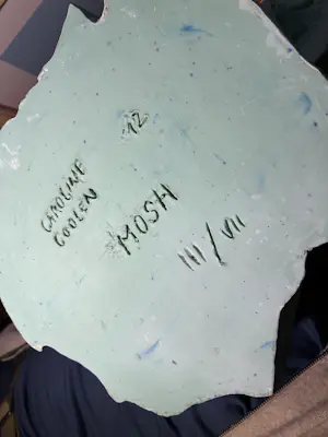 Caroline Coolen - Caroline Coolen Mosh kopen? Bied vanaf 800!