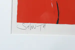 Selwyn Senatori - Zeefdruk, Insalata - Ingelijst kopen? Bied vanaf 130!