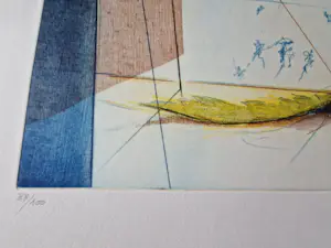 Ronald Tolman - grote kleuren Ets & Aquatint "IKANOS I" - Gelderse grafiekmap 1992 - bep. oplage kopen? Bied vanaf 58!