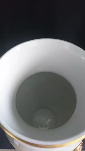 Royal Limoges - Tharaud/Union Limousine grote siervaas met mascarons (Limoges, France) kopen? Bied vanaf 1!