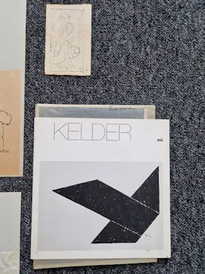 Toon Kelder - verzameling (inkt) tekeningen en schetsen "naakten" en foto's en catalogi kopen? Bied vanaf 60!
