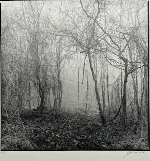 Ralph Janowski - Zonder titel kopen? Bied vanaf 28!