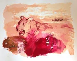 Lydia van Domburgh - Observatie kopen? Bied vanaf 30!