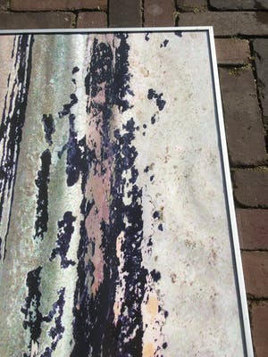 Filippa de Boer - Genummerd op de achterzijde F69 kopen? Bied vanaf 50!