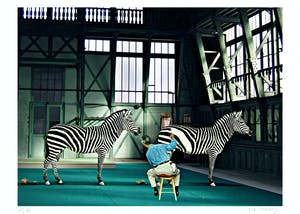 Mr. Strange - LES ZEBRES kopen? Bied vanaf 65!