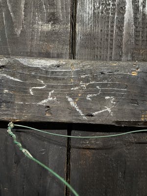 Mariska Kaspers - Grote Beestendroom kopen? Bied vanaf 100!